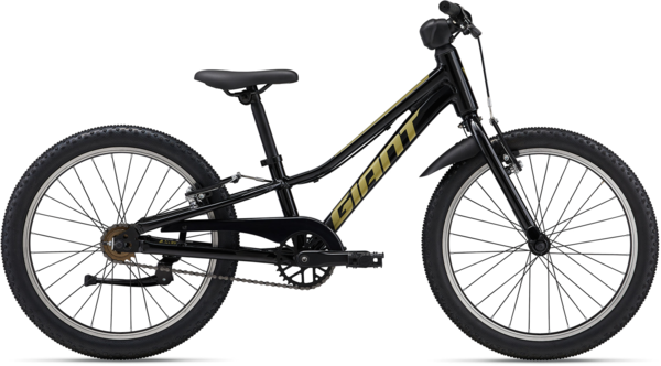 Giant Talon 20 SS